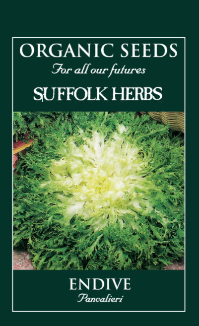 Organic Endive Pancalieri - Mill Race Garden Centre