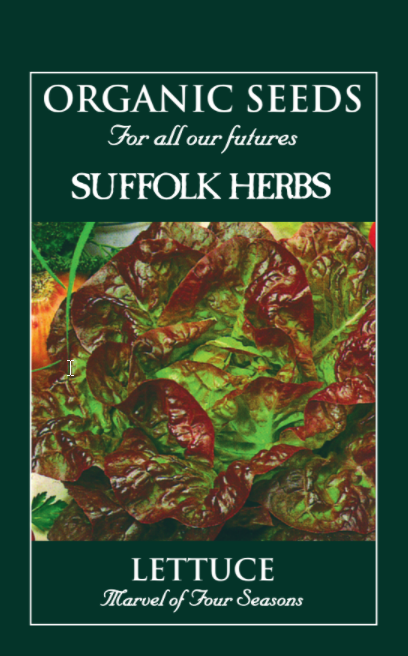 Organic Lettuce Marvel Of Four Seasons - Mill Race Garden Centre