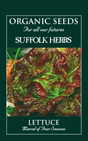 Organic Lettuce Marvel Of Four Seasons - Mill Race Garden Centre