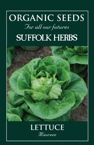 Organic Lettuce Maureen (Little Gem Type) - Mill Race Garden Centre