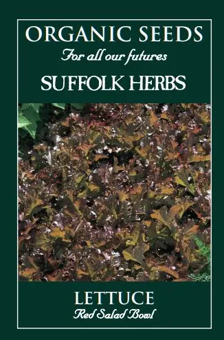 Organic Lettuce Red Salad Bowl - Mill Race Garden Centre