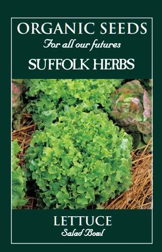 Organic Lettuce Salad Bowl - Mill Race Garden Centre