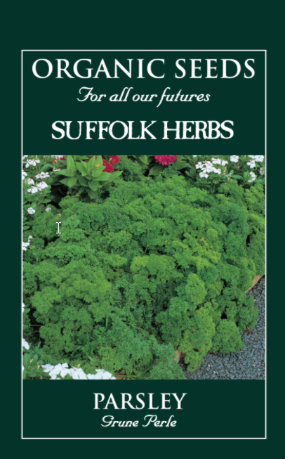Organic Parsley Grune Perle - Mill Race Garden Centre