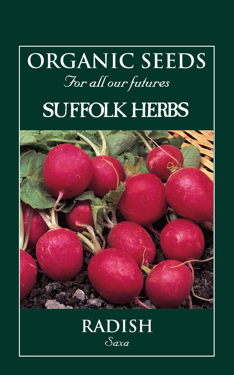 Organic Radish Saxa - Mill Race Garden Centre