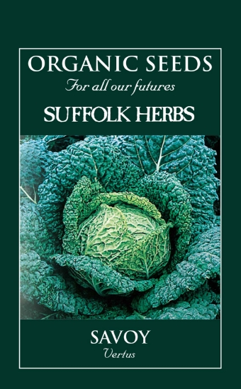 Organic Savoy Vertus - Mill Race Garden Centre