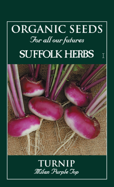Organic Turnip Milan Purple - Mill Race Garden Centre