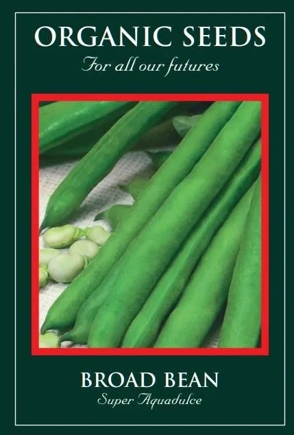 Organic Broad Bean Super Aquadulce - Mill Race Garden Centre