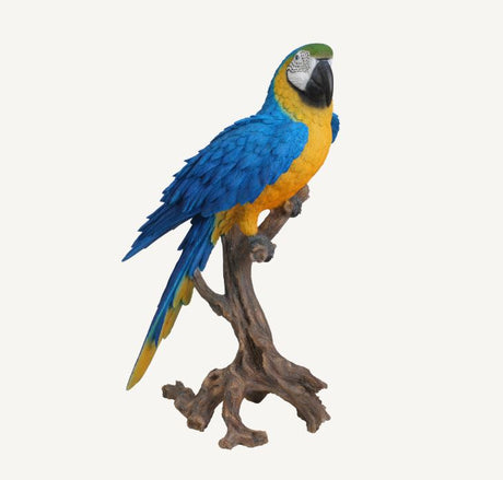 Yellow Macaw Perched Size A by Vivid Arts - Mill Race Garden Centre