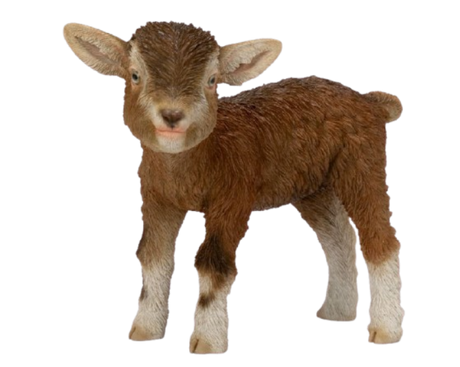 Real Life Kid Goat Brown Ornament Size D by Vivid Arts - Mill Race Garden Centre