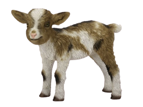Real Life Kid Goat Tricolour Ornament Size D by Vivid Arts - Mill Race Garden Centre