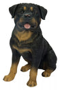 Rottweiler Real Life Resin Ornament  by Vivid Arts - Mill Race Garden Centre