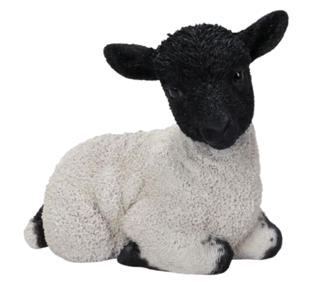 Real Life Sitting Black Face Lamb Ornament Size D by Vivid Arts - Mill Race Garden Centre