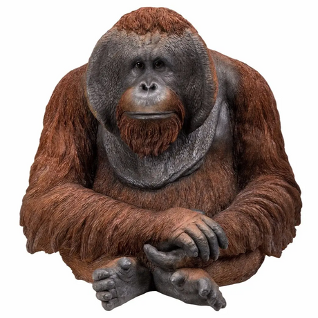 Vivid Arts Real Life Orangutan A - Mill Race Garden Centre