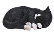 Real Life Sleeping Cat Black / White Ornament Size B by Vivid Arts - Mill Race Garden Centre