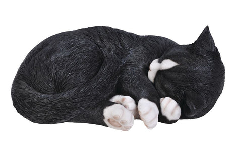 Real Life Sleeping Cat Black / White Ornament Size B by Vivid Arts - Mill Race Garden Centre