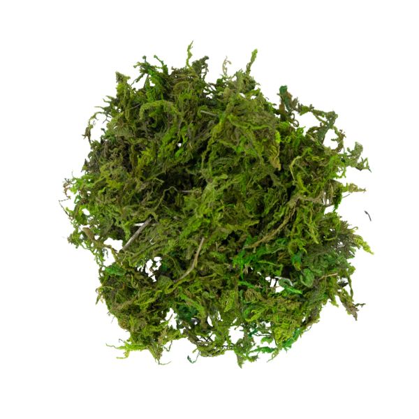 My Village Green Moss – 30g Bag Natural Landscaping Accent