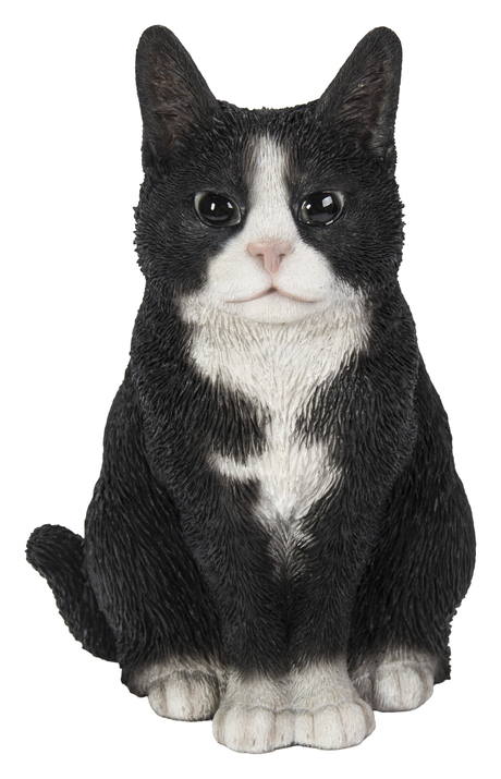 Vivid Arts Real Life Sitting Black and White Cat Resin Ornament - Mill Race Garden Centre