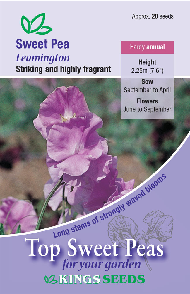 Sweet Pea Leamington - Mill Race Garden Centre