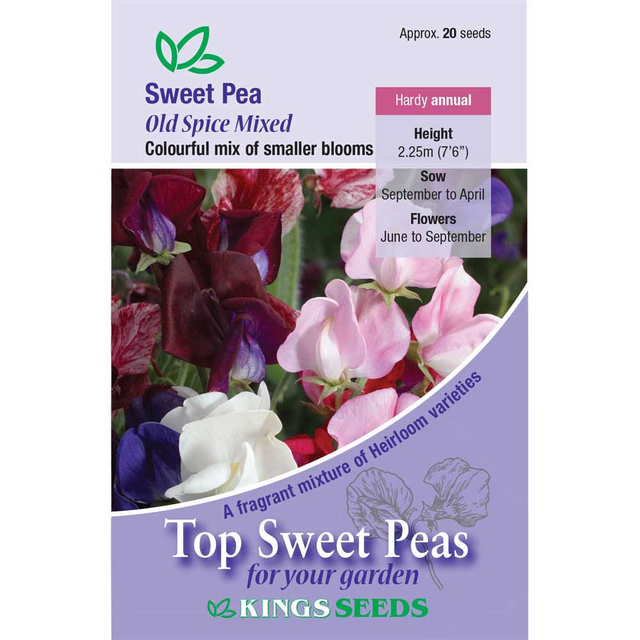 Sweet Pea Old Spice Mix - Mill Race Garden Centre