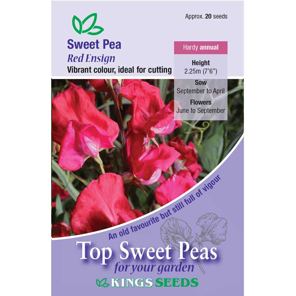 Sweet Pea Red Ensign - Mill Race Garden Centre