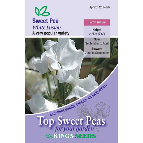 Sweet Pea White Ensign - Mill Race Garden Centre