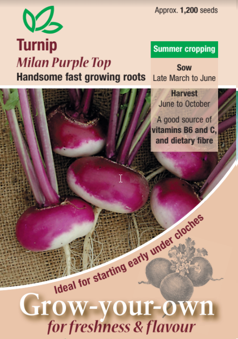 Turnip Milan Purple Top - Mill Race Garden Centre