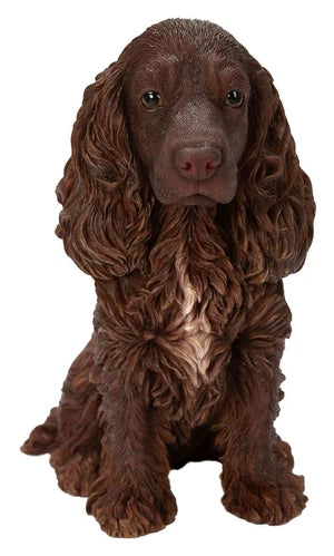 Real Life Chocolate Brown Cocker Spaniel Size D by Vivid Arts - Mill Race Garden Centre