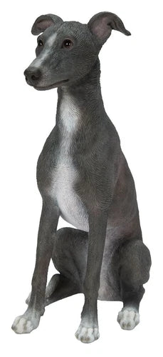Real Life Blue and White Whippet Size D by Vivid Arts - Mill Race Garden Centre