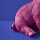 Werner Vob WERNS Piggy Pig magenta table lamp with quirky pig design, indoor decorative lighting for home.