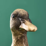Werner Vob WERNS Son of a Duck gold card holder decorative duck ornament for home decor.
