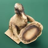 Werner Vob WERNS Son of a Duck gold card holder decorative duck ornament for home interior decoration.