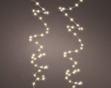 Warm White Micro LED Extra Dense Outdoor Twinkle Lights by Kaemingk