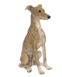 Whippet Real Life Resin Ornament by Vivid Arts - Mill Race Garden Centre