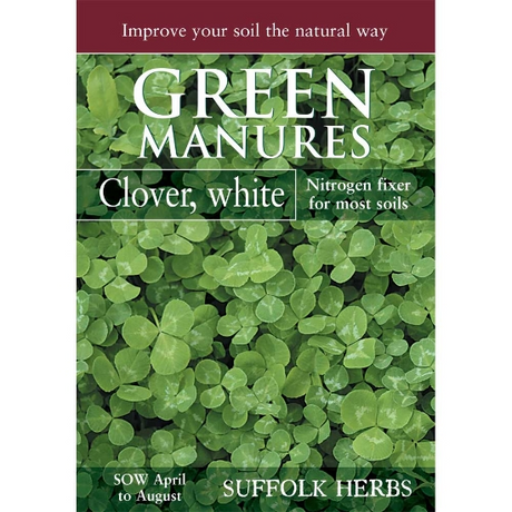 White Clover Seeds - Mill Race Garden Centre