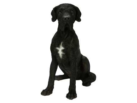 Great Dane Black Real Life Resin Ornament By Vivid Arts - Mill Race Garden Centre