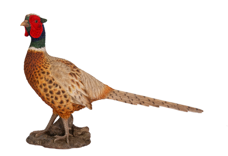 Pheasant Real Life Resin Ornament By Vivid Arts - Mill Race Garden Centre