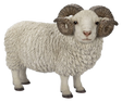 Real Life Ram with Horns resin ornament by Vivid Arts, detailed sculpture of a ram with curved horns on a natural base.