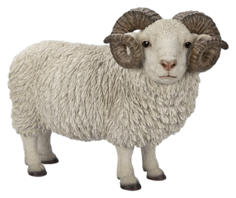 Real Life Ram with Horns resin ornament by Vivid Arts, detailed sculpture of a ram with curved horns on a natural base.