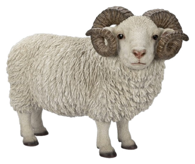 Real Life Ram with Horns resin ornament by Vivid Arts, detailed sculpture of a ram with curved horns on a natural base.