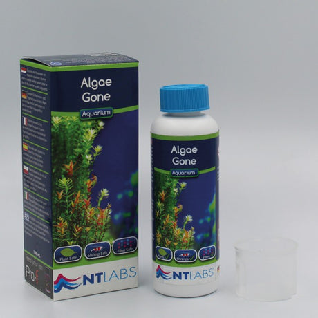 NT Labs Aquarium Algae Gone 100ml - Mill Race Garden Centre