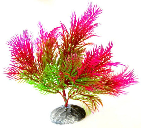 Aquarium Decoration Plastic Fern Pink/Green 15cm - Mill Race Garden Centre