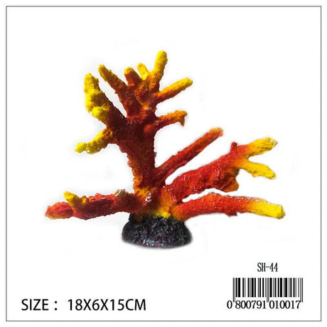 Coral Orange/Yellow - Mill Race Garden Centre