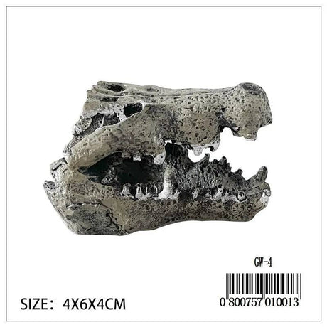 Dinosaur Jaw Skull - Mill Race Garden Centre