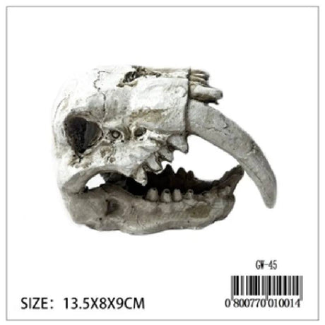 Dinosaur Skull - Mill Race Garden Centre