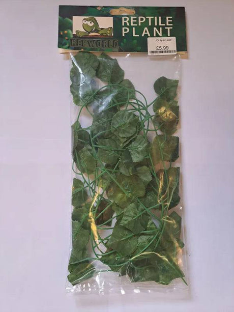 Grape Leaf - Mill Race Garden Centre