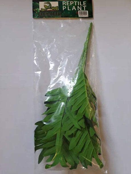 Reptile Plant Philipendra - Mill Race Garden Centre