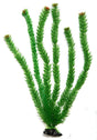 Sunny Aquarium Plastic Plant AP-005 20 Inch - Mill Race Garden Centre