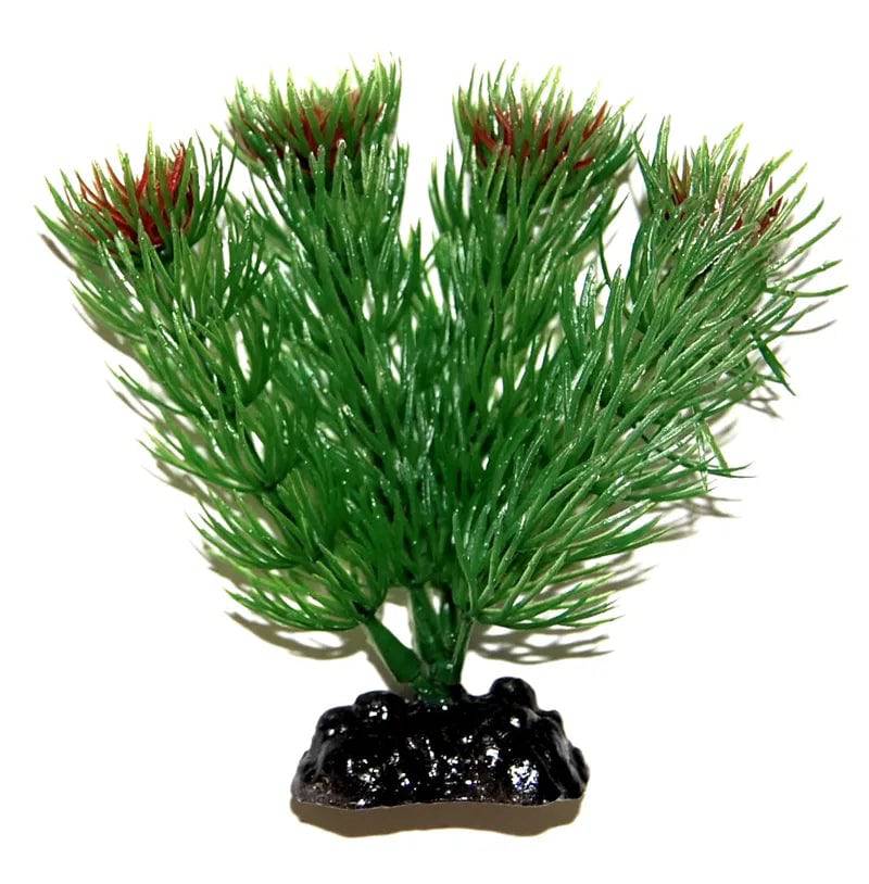 Sunny Aquarium Plastic Plant AP-005 4 Inch - Mill Race Garden Centre