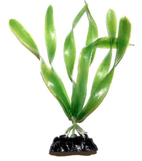 Sunny Aquarium Plastic Plant AP-014 4 Inch - Mill Race Garden Centre