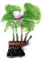 Sunny Aquarium Plastic Plant AP-024 4 Inch - Mill Race Garden Centre